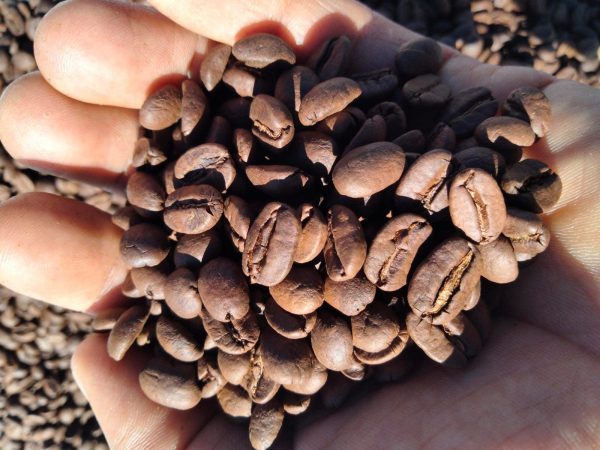 Café Jomaleik 1 Kg - Imagen 3