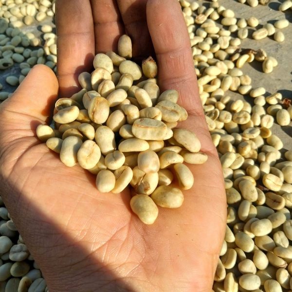 Café Jomaleik 1 Kg - Imagen 4